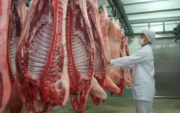 Bộ NNPTNT đã phải ban hành hướng dẫn một số biện pháp khẩn cấp về giết mổ, tiêu thụ sản phẩm từ lợn khi dịch bệnh này đang có chiều hướng ngày càng phức tạp.