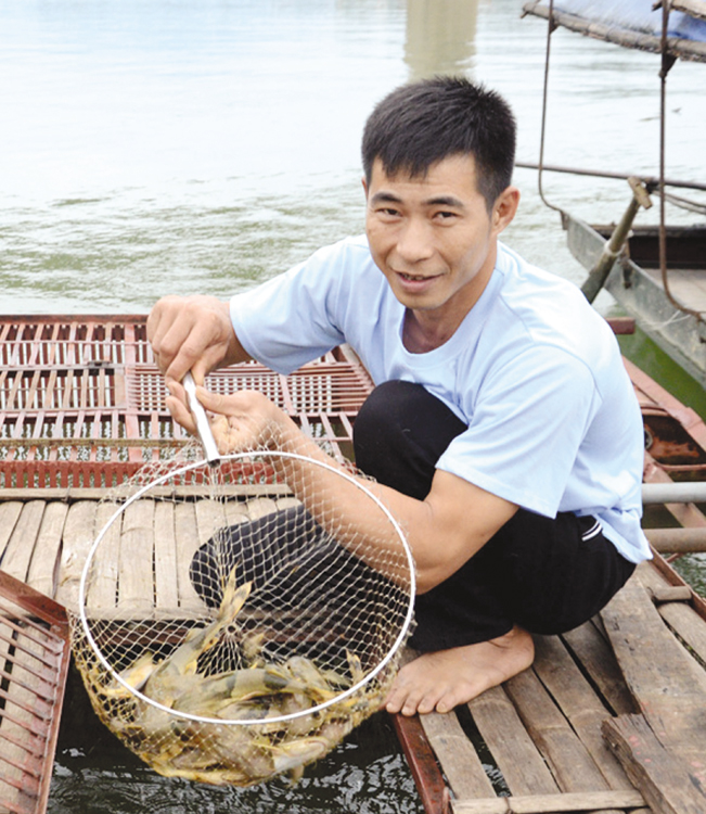 Với 500 triệu đồng nguồn vốn vay Quỹ HTND, 10 hộ dân ở phường Nông Tiến (TP.Tuyên Quang) đã đầu tư “Nuôi cá lồng đặc sản trên sông Lô” hiệu quả. Đào Thanh