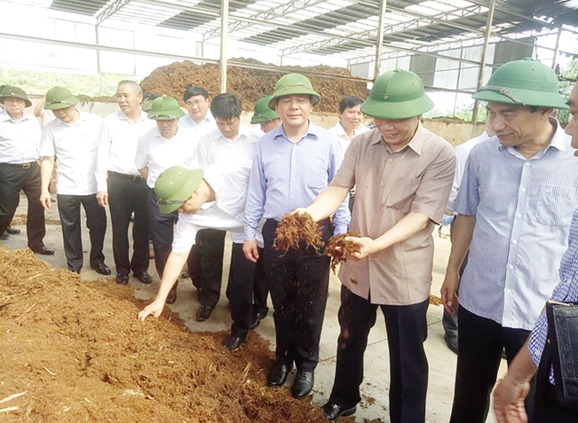 Bộ trưởng Bộ NN&PTNT Nguyễn Xuân Cường cùng đoàn công tác thăm nhà máy chế biến thức ăn gia súc từ phụ phế phẩm nông nghiệp như bã mía, thân cây ngô, lõi ngô... của Công ty T&T 159.