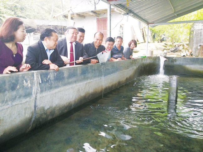 Chủ tịch T.Ư Hội NDVN Thào Xuân Sùng (đeo caravat) thăm trang trại của ông Nguyễn Văn Lũy.