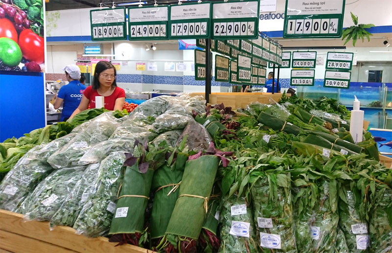 HTX Lĩnh Nam không chỉ đa dạng chủng loại rau, củ mà còn đảm bảo chất lượng an toàn thực phẩm, nguồn cung ổn định cho siêu thị.