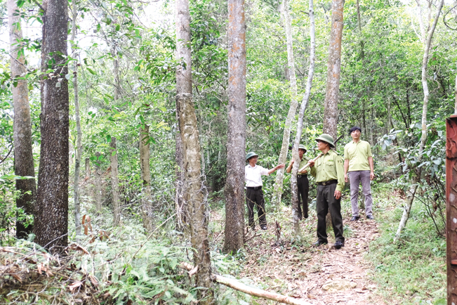 Chính sách chi trả dịch vụ môi trường rừng khiến người dân yên tâm gắn bó với rừng.