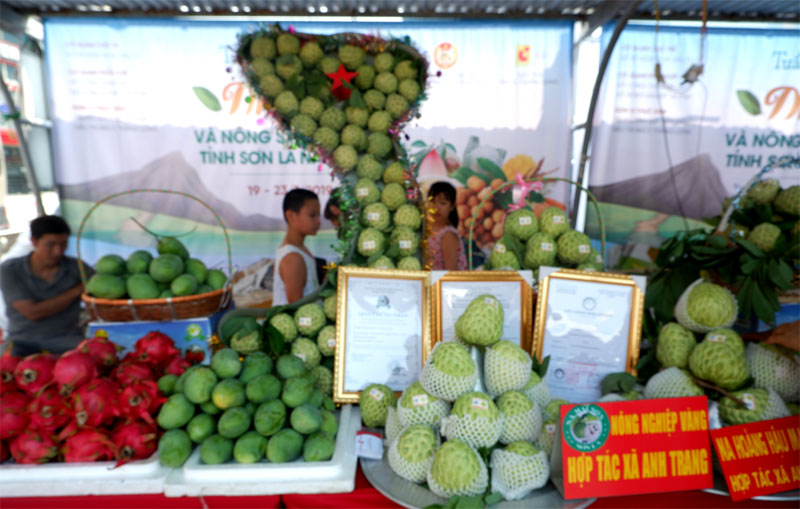Các loại trái cây được cung ứng tại Tuần lễ Nhãn và nông sản Sơn La, đa dạng và đều được gắn tem truy xuất nguồn gốc.