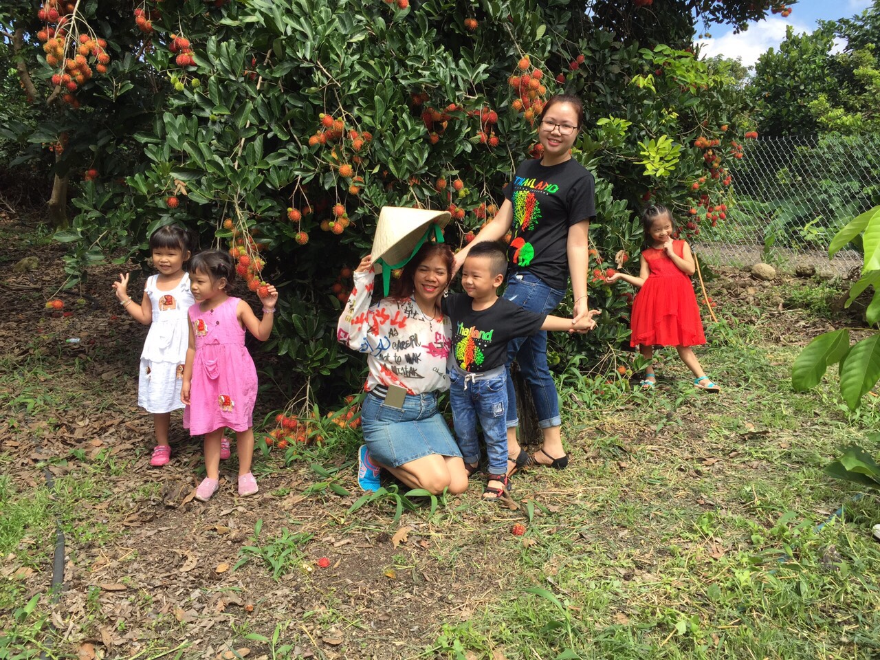 Du khách thăm quan tại vườn trái cây Duy Khánh (TP. Long Khánh)