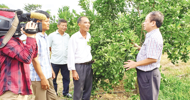TS.Trần Văn Khởi, Quyền Giám đốc Trung tâm Khuyến nông Quốc gia (bên phải) thăm mô hình chuyển đổi trồng cây ăn quả tại huyện Bố Trạch (Quảng Bình).
