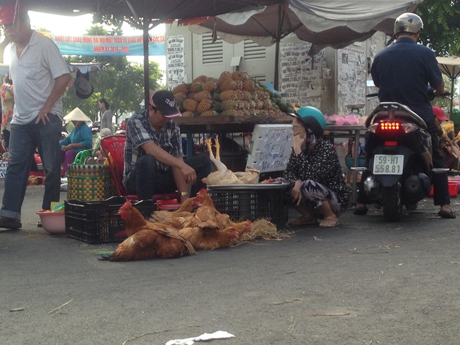 Các loại gà cúng được làm sẵn có giá 250.000-300.000 đồng/con.