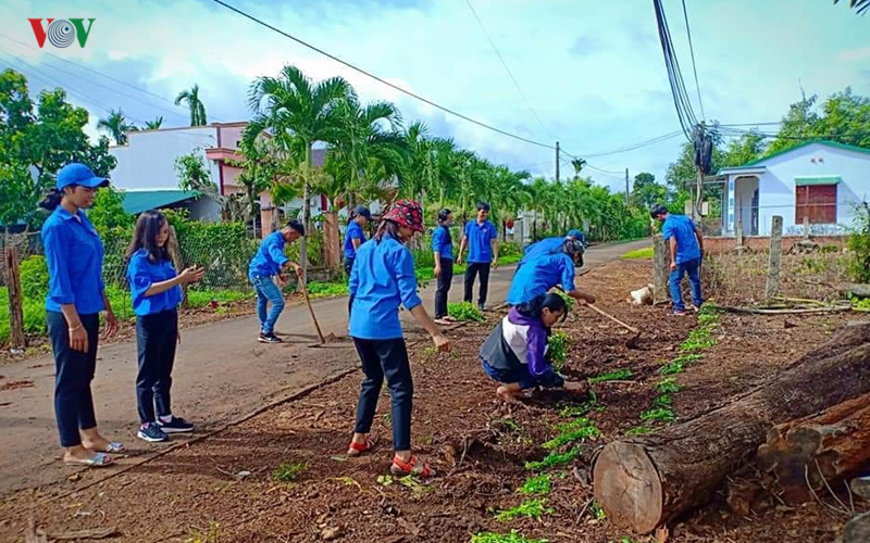 Đường hoa thanh niên - Nét đẹp trong xây dựng Nông thôn mới.