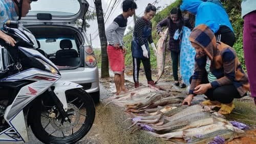 nuoc mat tuon roi o lam dong: mat ca tram ty sau mua lu kinh hoang hinh anh 4