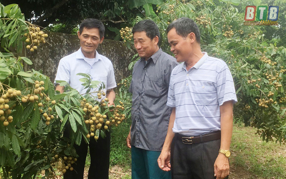 Ông Trần Văn Chuyên (bên trái) giới thiệu mô hình trồng nhãn thành công của gia đình với lãnh đạo thôn.