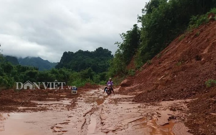 hoa binh: tai san, hoa mau, duong giao thong thiet hai nang sau lu hinh anh 4