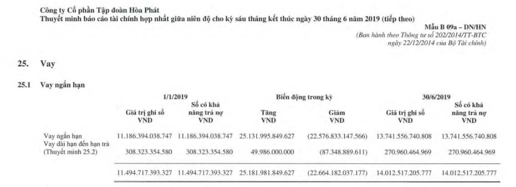 ap luc vay no lon, ong tran dinh long dung co phieu ca nhan bao dam khoan vay cho hoa phat? hinh anh 2