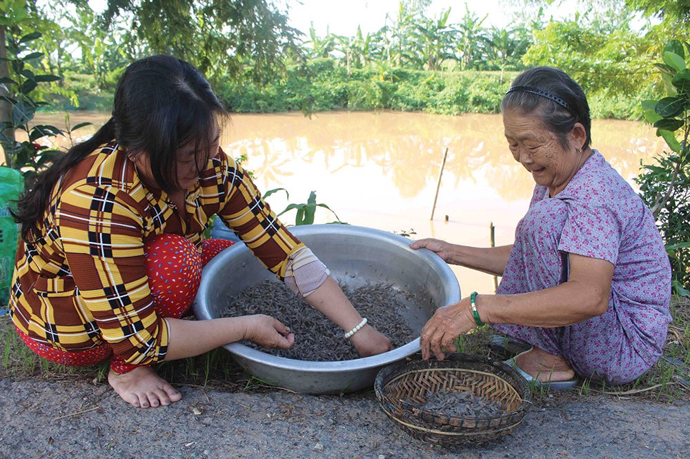 Mùa &quot;lũ đẹp&quot; An Giang: Cá tôm về nhiều, mỗi đêm có gần 1 triệu - Ảnh 2.