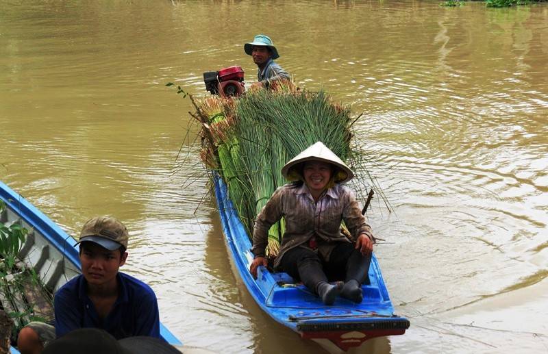 di cat co nang ban cho thuong lai, moi ghe thu lai 1 trieu dong hinh anh 2