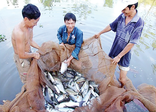 Mô hình nuôi cá của anh Nguyễn Trung Kiên.