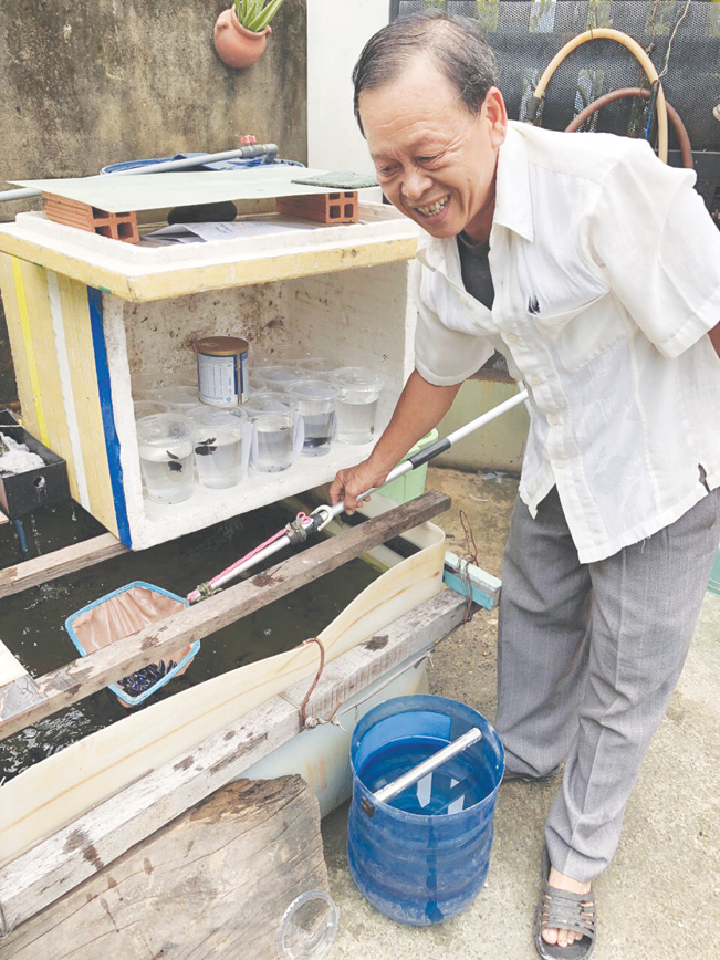 Ông Phạm Văn Tư đang chăm sóc ao cá xiêm nuôi tại gia đình.