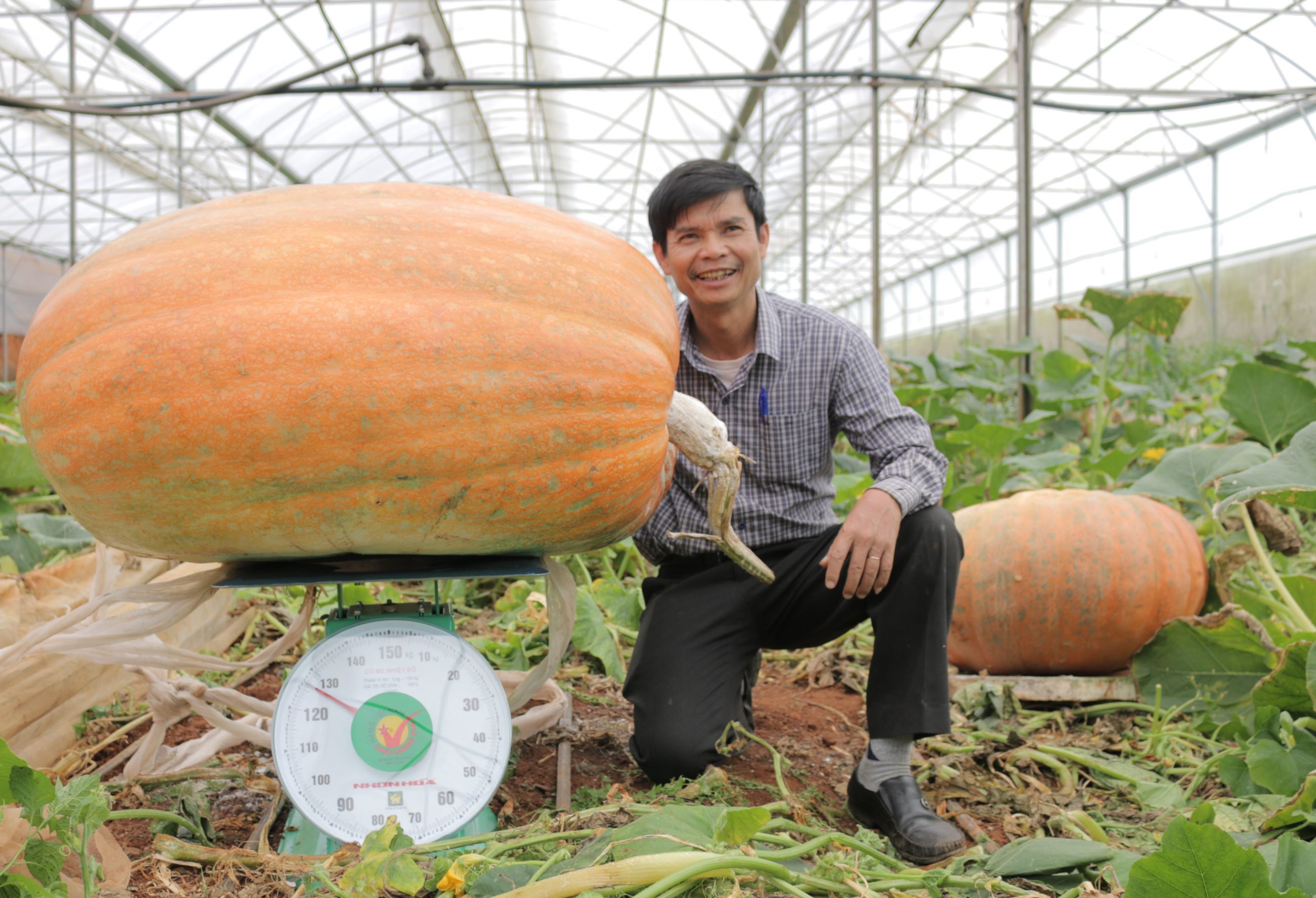 Ông Trần Huy Đường, Giám đốc Công ty TNHH Trang trại Langbiang, cùng với quả bí ngô của đơn vị. Ảnh Nhi Huỳnh | Vietkings