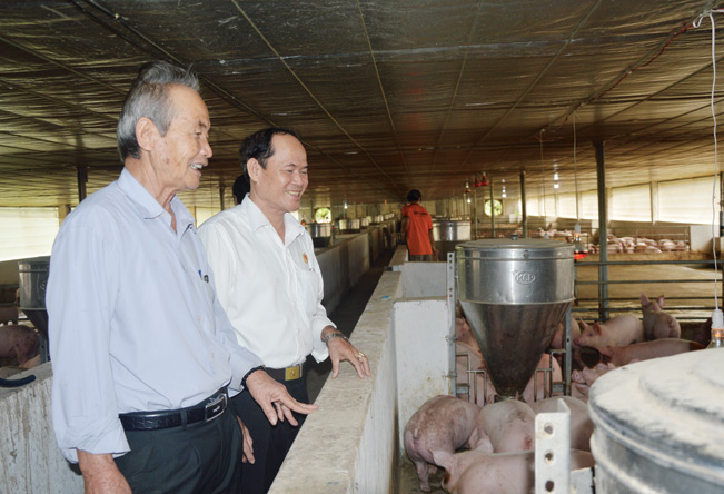 Mô hình chăn nuôi heo, gà là bước đi khởi nghiệp để ông Thành có được cơ ngơi như ngày hôm nay. Đến nay, bên cạnh các dịch vụ kinh doanh khác, gia đình ông Thành vẫn duy trì các trại chăn nuôi heo, gà...