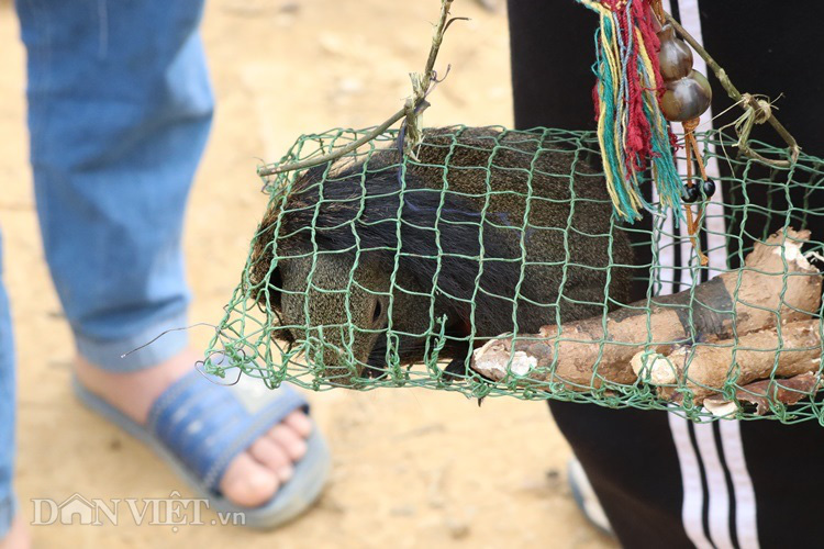 La liệt sâu dừa, rau đắng, nấm ngọc cẩu &quot;tăng lực&quot; ở chợ Tủa Chùa - Ảnh 6.