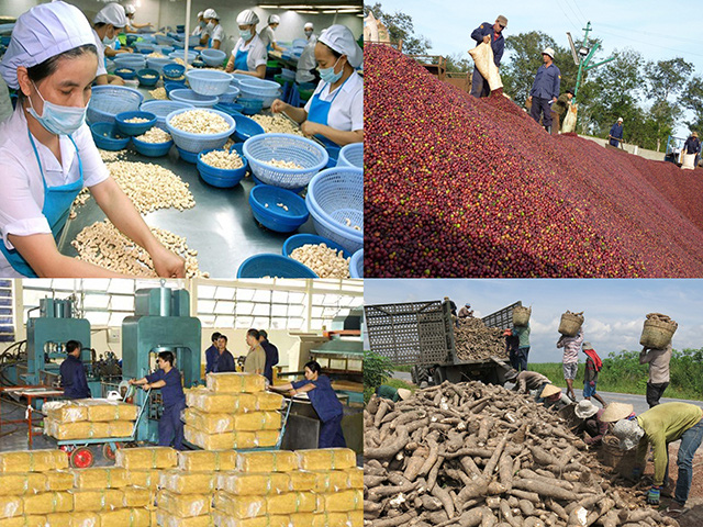Xuất khẩu rau quả 2019 giảm nhẹ do gặp khó ở thị trường Trung Quốc - Ảnh 3.