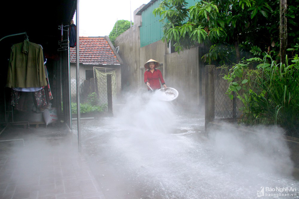 Vì sao dịch tả lợn châu Phi tái bùng phát ở Nghệ An, ngày nào cũng có lợn phải tiêu huỷ? - Ảnh 1.