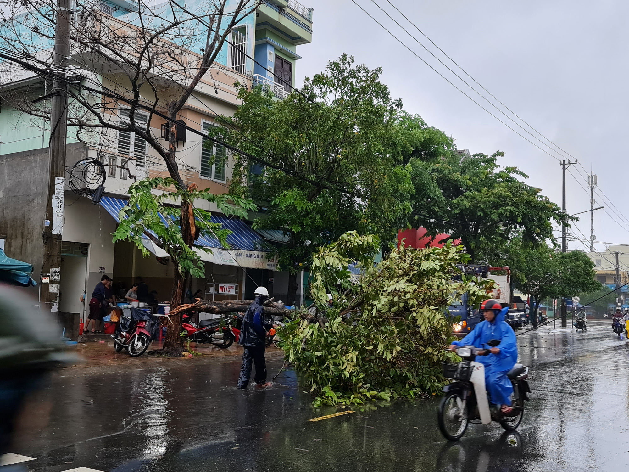 Quảng Nam: Bão chưa vào, cây cối ngã đổ, đường xá ngập sâu - Ảnh 2.