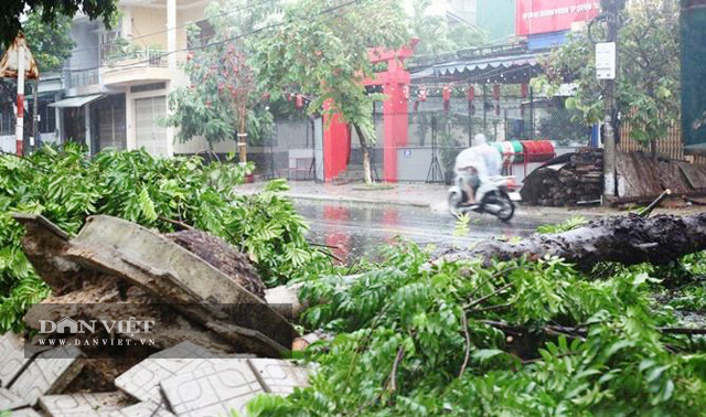 Quảng Ngãi: Núi lở, nhà sập làm người bị thương, di dời khẩn cấp 35 hộ dân  - Ảnh 6.