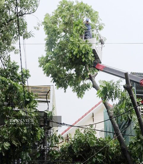 Quảng Ngãi: Núi lở, nhà sập làm người bị thương, di dời khẩn cấp 35 hộ dân  - Ảnh 7.