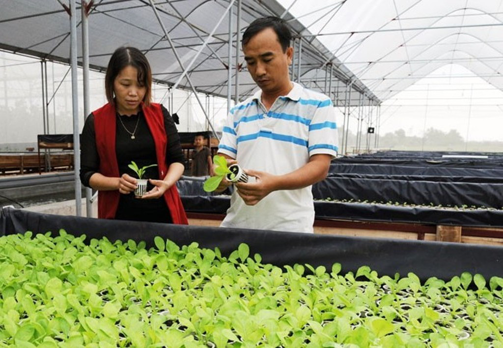 Phát triển nông nghiệp Bắc Giang:	 Hỗ trợ doanh nghiệp chế biến, nâng cao giá trị nông sản  - Ảnh 2.