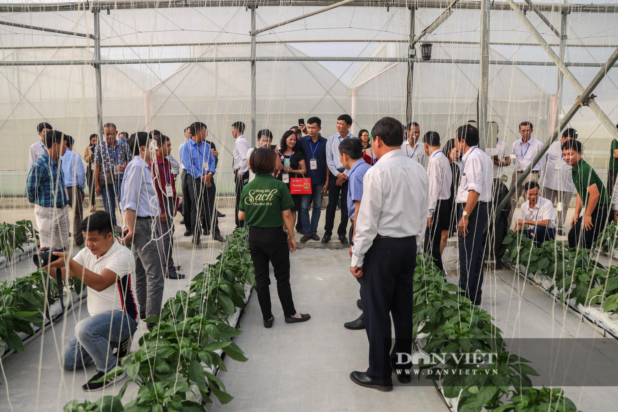 Chùm ảnh: 63 Nông dân Việt Nam xuất sắc hào hứng thăm nông trường VinEco Hải Phòng - Ảnh 8.