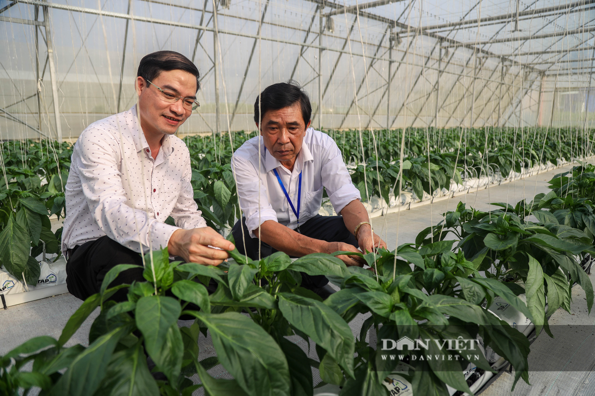 Chùm ảnh: 63 Nông dân Việt Nam xuất sắc hào hứng thăm nông trường VinEco Hải Phòng - Ảnh 10.