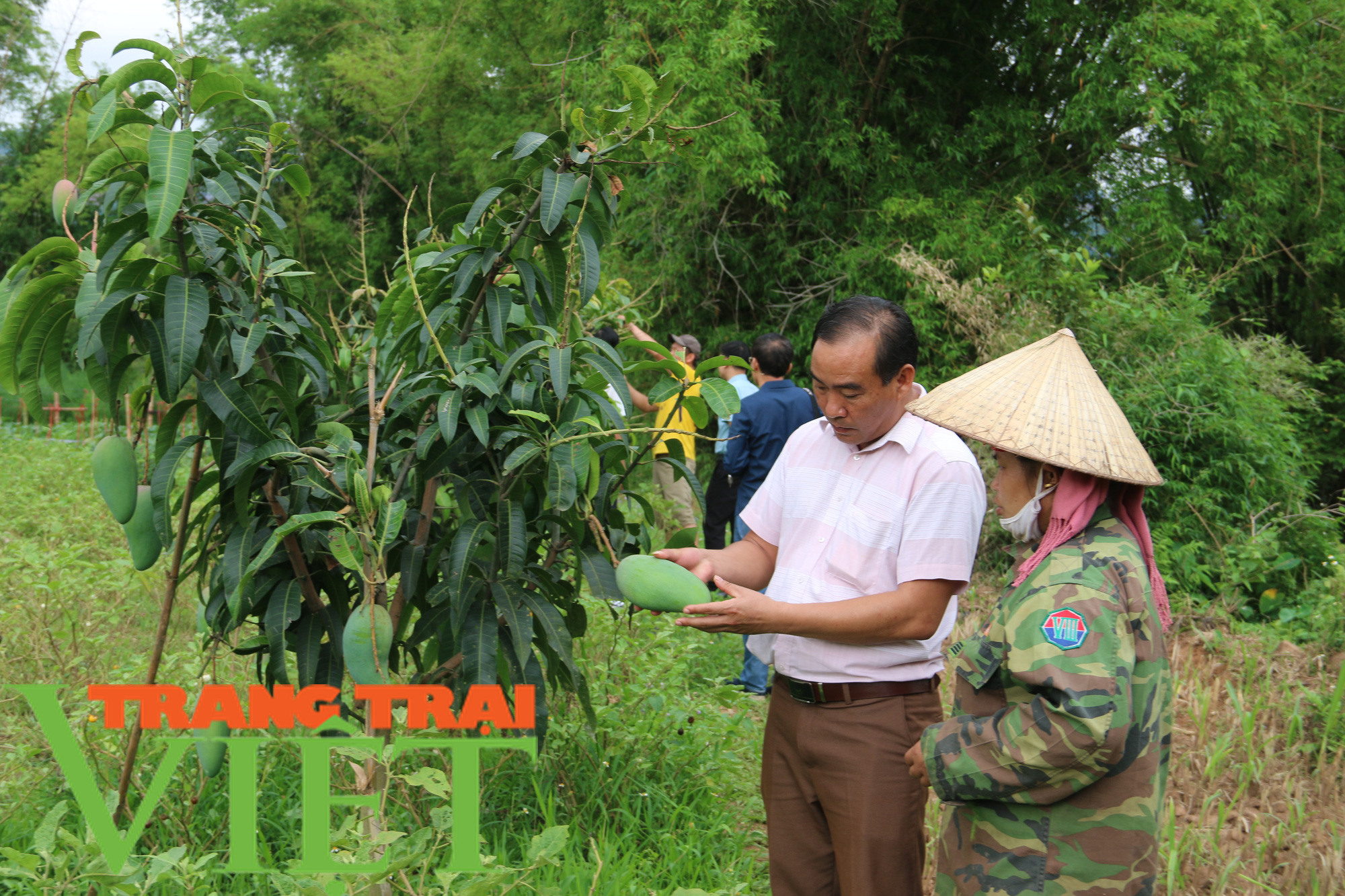 Yên Châu giúp bà con nông dân thoát nghèo và vươn lên làm giàu  - Ảnh 5.