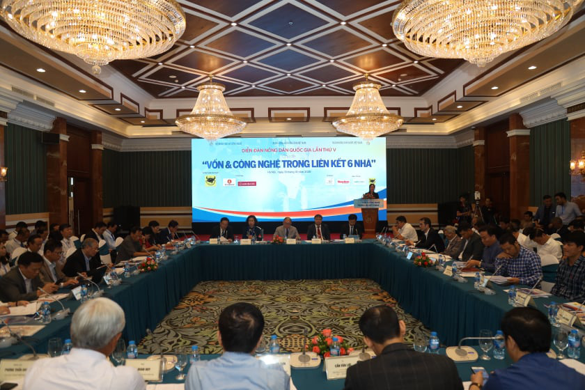 GS.TS Ngô Xuân Bình: Cần có chính sách KH&CN đối với mô hình nông nghiệp công nghệ cao - Ảnh 1.