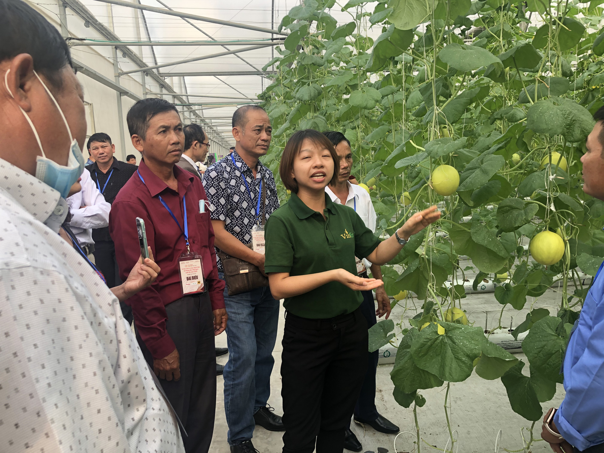 Bình Điền đồng hành cùng chương trình tuyên dương nông dân Việt Nam xuất sắc - Ảnh 5.