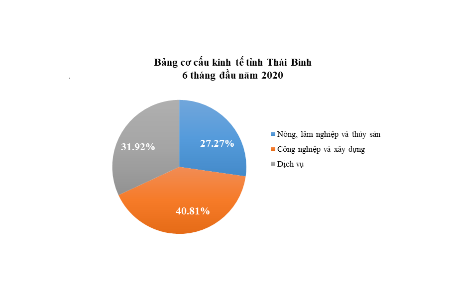 Thái Bình: Vựa lúa chuyển mình đón sóng thu hút đầu tư - Ảnh 1.