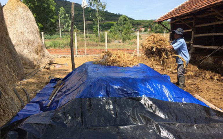 Phú Yên: Đi nhặt thứ vứt đi ủ thành loại phân bón cho cây nào cây ấy "khỏe như vâm"