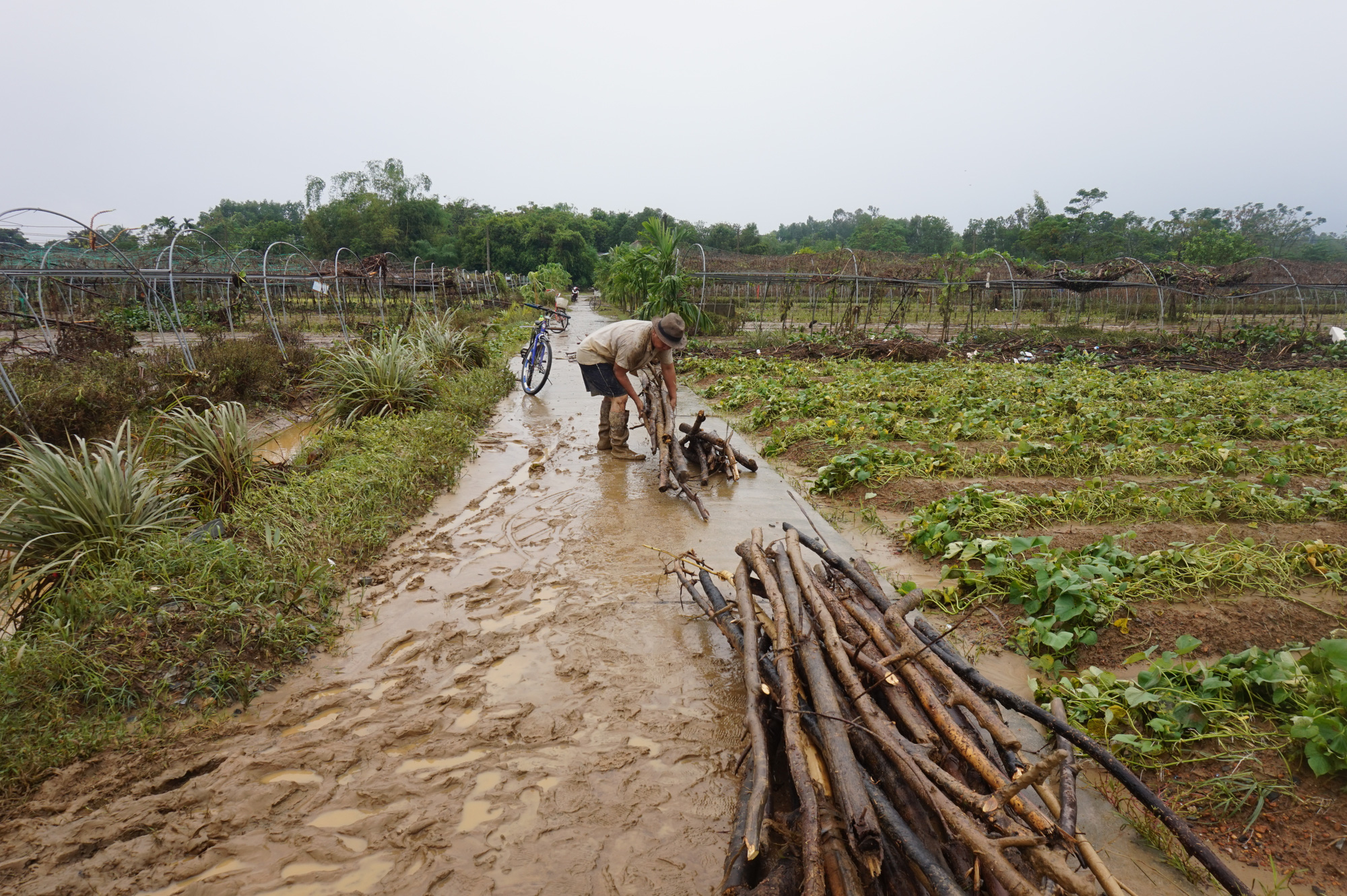 Đà Nẵng: Nông dân thiệt hại nặng nề do mưa lũ kéo dài - Ảnh 6.