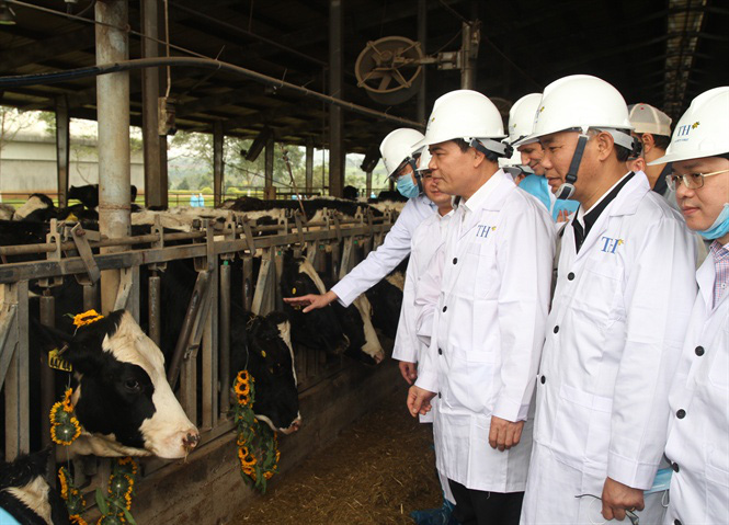 Dự án nông nghiệp công nghệ cao tại Cao Bằng mà Tập đoàn TH đầu tư 2.544 tỷ đồng có gì đặc biệt? - Ảnh 1.