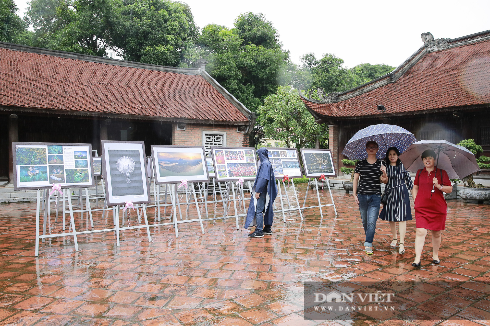 Người dân đội mưa xem Triển lãm Ảnh nghệ thuật lớn nhất Việt Nam - Ảnh 6.