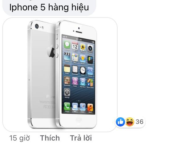 Nhiều tranh cãi về iPhone 12 tại Việt Nam - Ảnh 1.