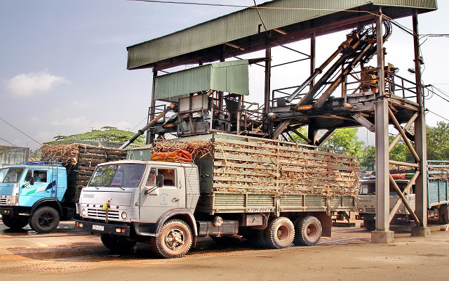 Sản lượng mía chế biến thấp chưa từng có trong gần 20 năm trở lại đây - Ảnh 3.