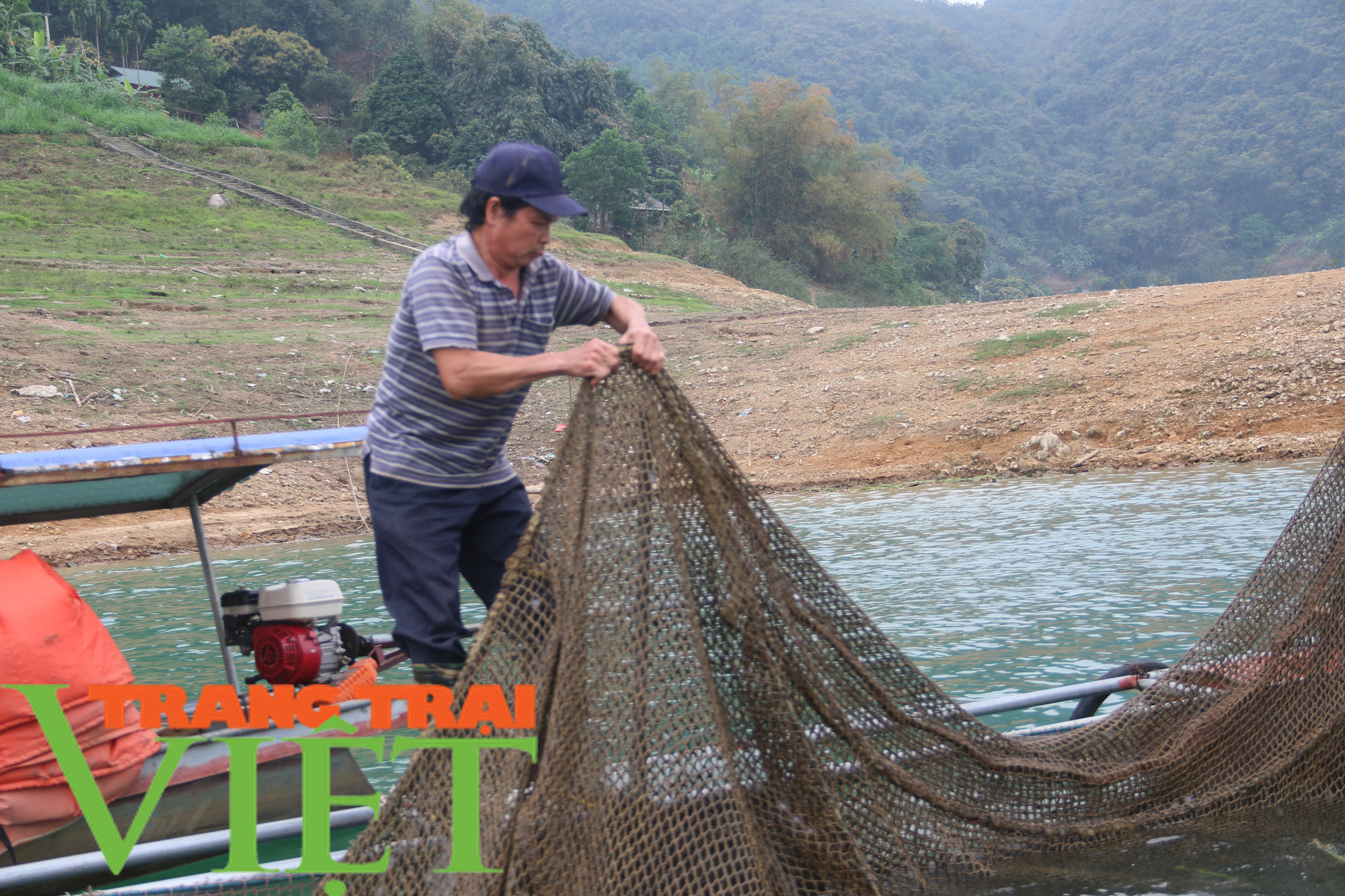 Hòa Bình: Phát huy tiềm năng thế mạnh nuôi cá lồng trên vùng lòng hồ - Ảnh 8.