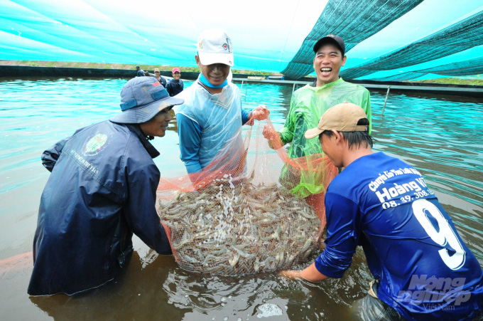 Nuôi tôm siêu thâm canh thích nghi biến đổi khí hậu - Ảnh 2.