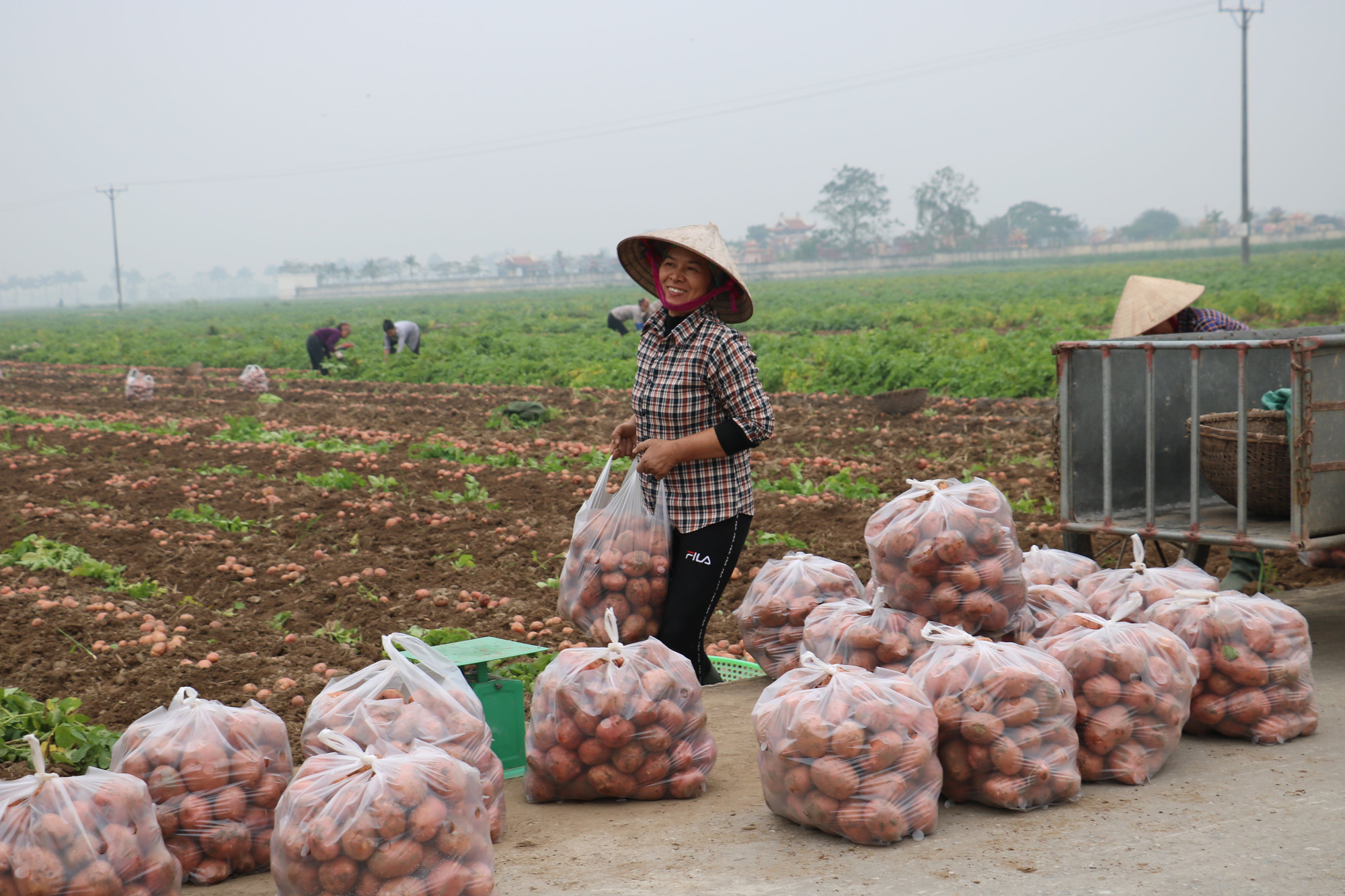 Đột phá trong xây dựng NTM Thái Bình - Kỳ 3: Nụ cười hạnh phúc ngày mới - Ảnh 2.