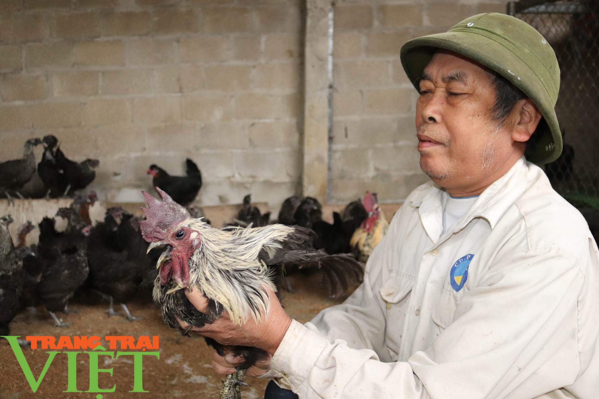 Thuận Châu: Tập huấn, hướng dẫn hội viên Hội Nông dân sản xuất nông nghiệp theo chuỗi giá trị - Ảnh 3.
