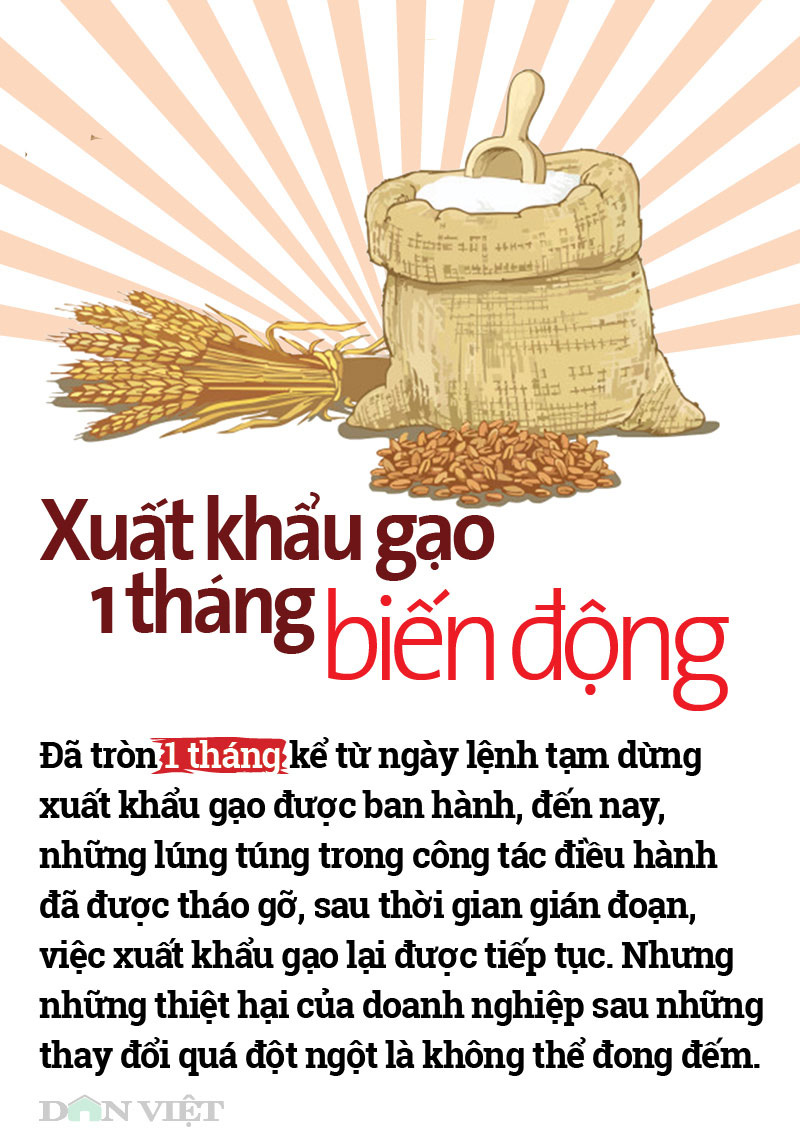 Infographic: Nhìn lại 1 tháng lùm xùm điều hành xuất khẩu gạo - Ảnh 1.