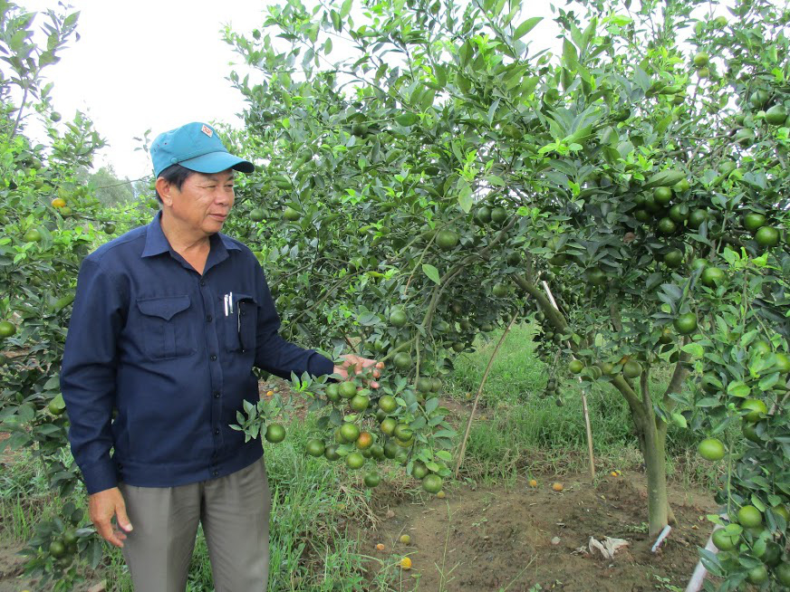 Quảng Nam: Duy Xuyên chạy &quot;nước rút&quot; để về đích nông thôn mới - Ảnh 4.