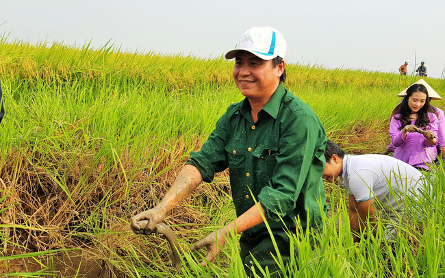 Làm lúa hữu cơ, nhà nông không chỉ bán lúa giá cao mà còn bắt được nhiều tôm cá