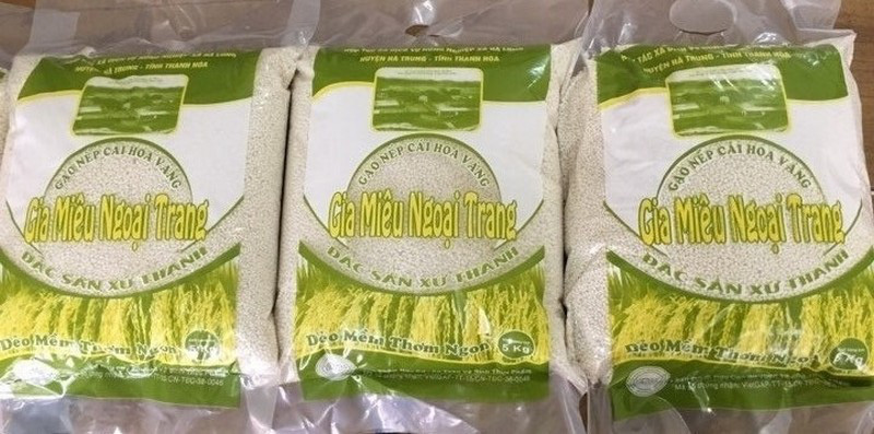 Gạo nếp cái hoa vàng “Gia Miêu Ngoại Trang” 1 trong 10 sản phẩm gạo nếp ngon nhất trong nước - Ảnh 1.