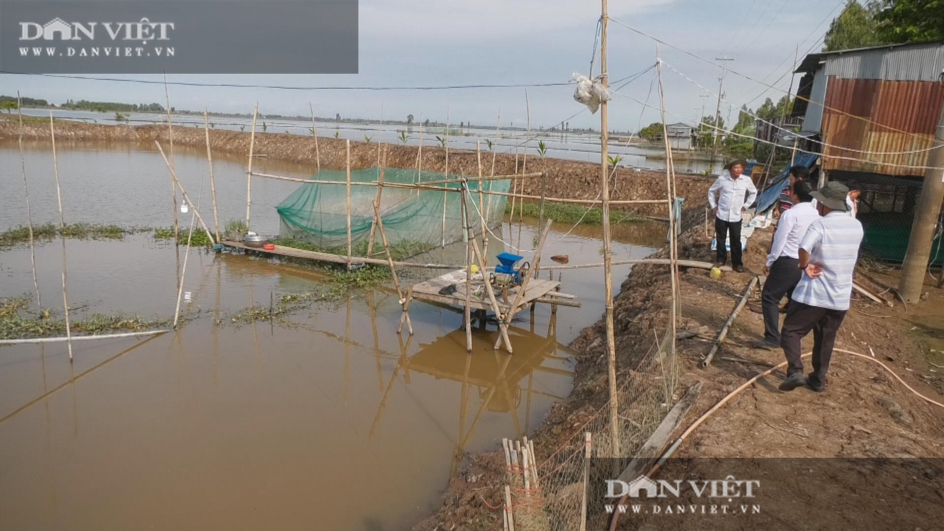 Đồng Tháp: Dẫn dụ cá đồng vào nuôi trong ruộng lúa, nông dân bắt lên toàn cá ngon, tươi roi rói, lãi hơn 110 triệu/ha - Ảnh 2.