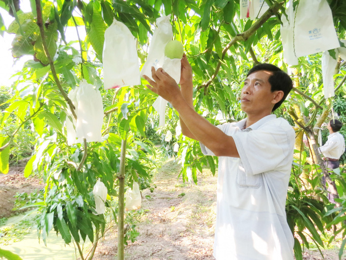 Đồng Tháp: Triển khai mô hình thi đua 'Người nông dân chuyên nghiệp' - Ảnh 1.